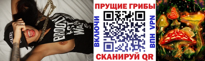 купить наркотик  Черемхово  Псилоцибиновые грибы Cubensis 