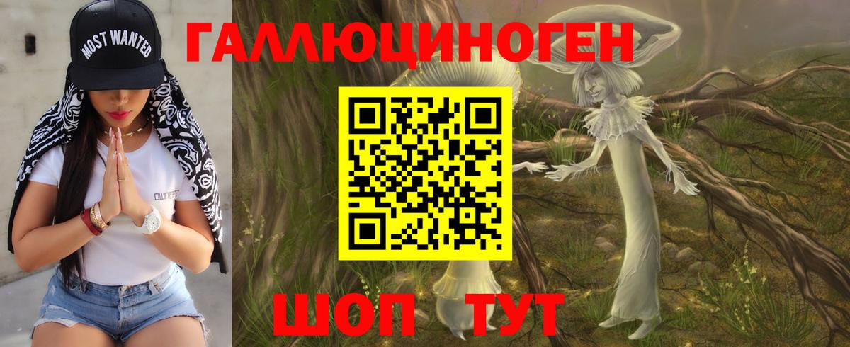 Галлюциногенные грибы Psilocybe Черемхово